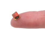 150xPTMS_Tag_on_Finger-web 150xPTMS_Tag_on_Finger-web