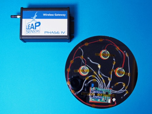 wireless temperature sensor for silicon wafer fab with gateway by leap sensors